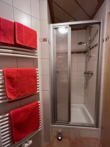 a bathroom with a shower with red towels at Badmeisterhof in Leogang +35 photos