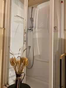 ein Badezimmer mit Dusche und einer Vase mit einer Pflanze in der Unterkunft Loggiato Tassis Charme&Relax in Bergamo