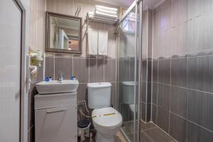 een badkamer met een toilet, een wastafel en een spiegel bij Apple Mansion in Istanbul