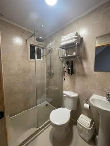 a bathroom with a shower and a toilet and a sink at Departamento interior in Puerto Montt