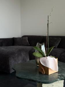 Posezení v ubytování Terra Loft 2