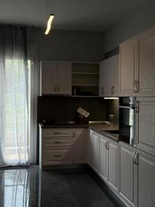 Kuchyň nebo kuchyňský kout v ubytování Terra Loft 2