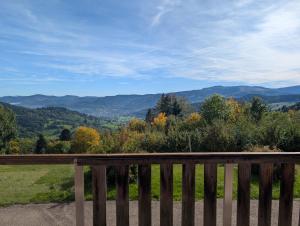 Naturlandskabet i nærheden af lejligheden + 2 billeder