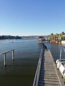 Naturlandskabet i nærheden af feriehuset