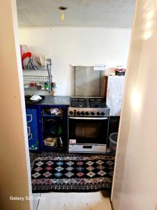 una cucina con una stufa e un tappeto sul pavimento di The Grand a Aswan