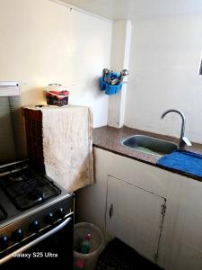 una cucina con lavello e fornello di The Grand a Aswan Altre 22 foto