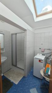 ein Badezimmer mit Dusche und Waschbecken in der Unterkunft stilvolles Apartment für 4 Personen in Ulmerfeld in Ulmerfeld