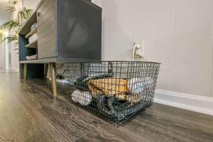 费耶特维尔Home Base的一只狗坐在电视机下的笼子里。