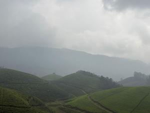 Gallery image of Mountain Palace in Vagamon