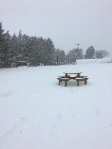 a picnic table in a field covered in snow at The Annexe at the Cedars in South Brent