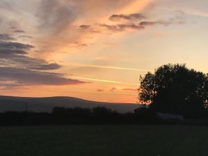 a sunset over a field with a tree in the foreground at The Annexe at the Cedars in South Brent