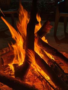 Billede fra billedgalleriet på Green way homestay i Madikeri