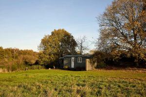 een kleine schuur in het midden van een veld bij Host and Stay - Florence in Marsham