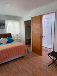 a bedroom with a bed and a door to a closet at Loft Tongoy 1 frente al mar in Coquimbo