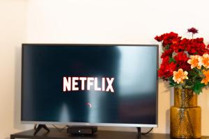 een televisie op een tafel met een vaas met bloemen bij La Petite Perle de Noisy in Noisy-le-Grand