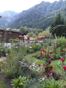 Fotografie z fotogalerie ubytování Gästehaus Geir v destinaci Obernberg am Brenner