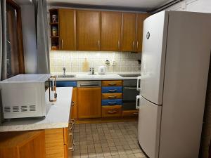 een keuken met een witte koelkast en houten kasten bij Chata v Kamenném Přívozu in Kamenný Přívoz +5 foto's