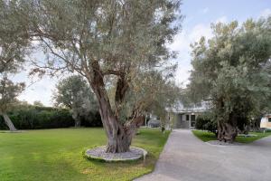 een grote boom in het midden van een tuin bij Elaia studio 5 in Lefkada +10 foto's
