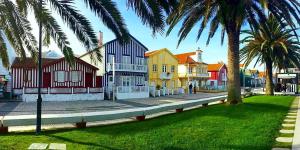 a row of colorful houses on a street with palm trees at Bird’s Home in Aveiro