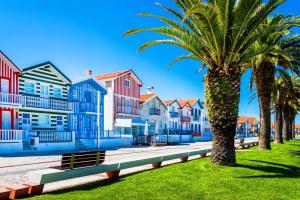 a palm tree in front of a row of houses at Bird’s Home in Aveiro