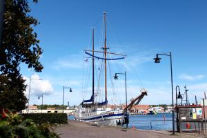 Příroda nedaleko hostelu