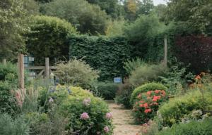 Ảnh trong thư viện ảnh của The Close ở Asaba