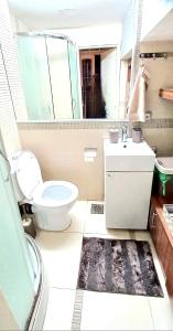 a bathroom with a toilet and a sink and a mirror at Apartment Cabin-Style in Belgrade