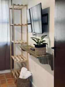 a mirror and a plant on a shelf in a room at Ar do Mar in Florianópolis