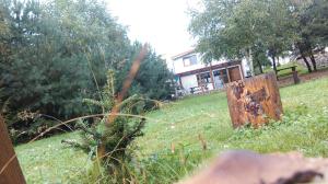 Zwierzęta w gospodarstwie agroturystycznym lub w pobliżu