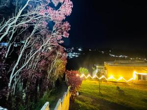 Zahrada ubytování Wander homes + 10 fotografií