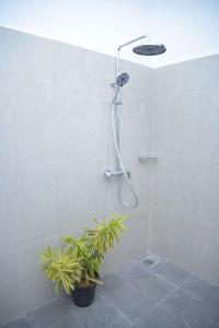 La salle de bains est pourvue d'une douche avec une plante. dans l'établissement Blue Horizon Villa - Rathgama, à Ratgama Hegoda