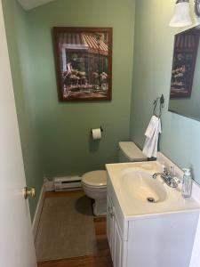 un bagno con un lavandino bianco e un water di Charming Four Bedroom House a Tannersville