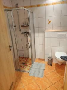 a bathroom with a shower and a toilet at Ferienwohnung am Rennsteig in Gerstungen +14 photos