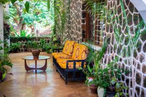 eine Terrasse mit einem Sofa, einem Tisch und Pflanzen in der Unterkunft Alfords Villa 