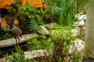 ein Vogel steht in einem Garten mit Pflanzen in der Unterkunft Alfords Villa 