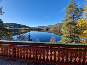 Naturlandskabet i nærheden af feriehuset