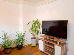 Et tv og/eller underholdning på Apartment Schachner-2 by Interhome