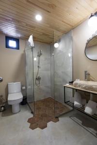 ein Badezimmer mit Dusche und Toilette in der Unterkunft Dedeman Village Cappadocia in Goreme