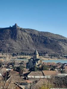 a castle on top of a hill next to a town at Apartment Nana in Mtskheta