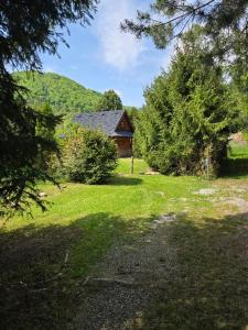 Naturlandskabet i nærheden af feriehuset + 2 billeder