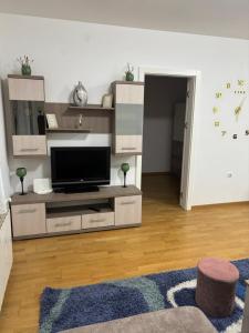TV a/nebo společenská místnost v ubytování Apartman PETKOVIĆ Parobrodska 35