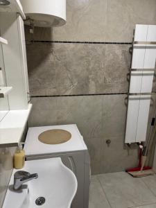 Koupelna v ubytování Apartman PETKOVIĆ Parobrodska 35 + 19 fotografií