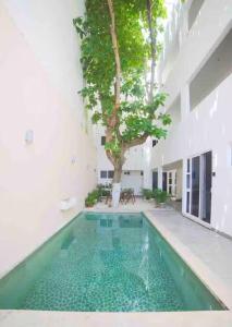 Swimmingpoolen hos eller tæt på Almond Suites