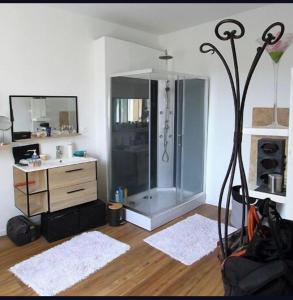 ein Bad mit einer Dusche und einer Kommode mit einem Spiegel in der Unterkunft Maison de village familiale Sablet in Sablet