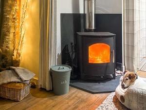 een hond die voor een houtkachel zit bij Pilsbury Cottage in Luppitt