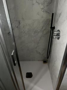 ein Bad mit einer Dusche und einer Marmorwand in der Unterkunft Airone1 in Gallarate