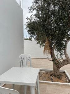 Fotografie z fotogalerie ubytování Mechi House v destinaci Djerba