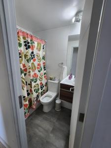 ein Badezimmer mit Toilette, Waschbecken und Duschvorhang in der Unterkunft departamento frutillar in Frutillar