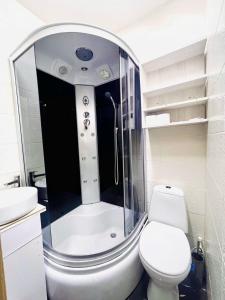 a bathroom with a shower and a toilet and a sink at CityCenter Studio in Chişinău