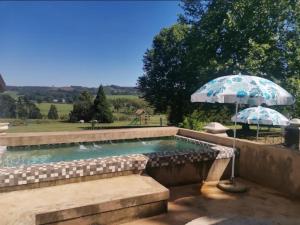 an umbrella sitting next to a swimming pool at Lionsgate Estate Cottage in Dargle